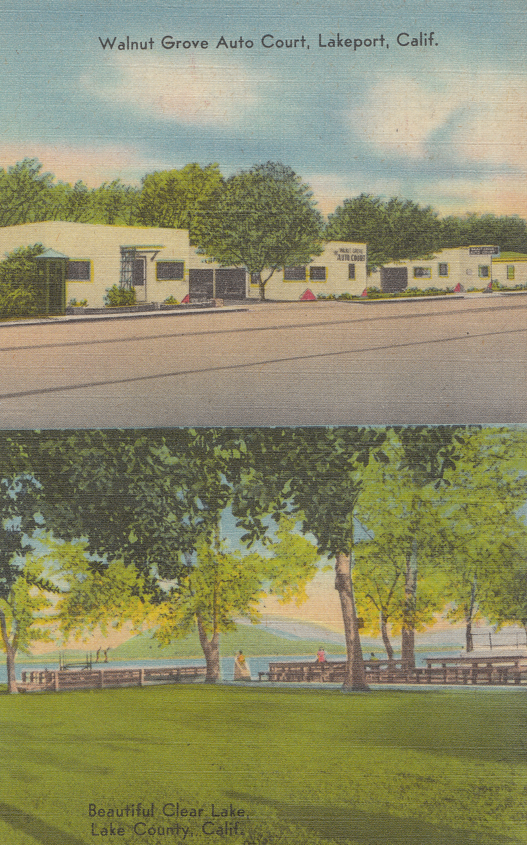 _Walnut Grove Auto Court 1955